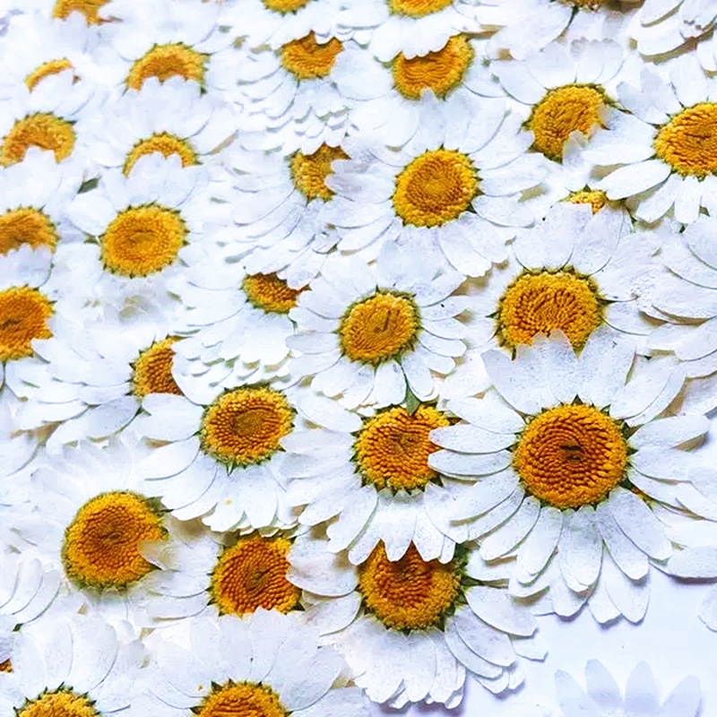 100Pcs Natural White Crystal C - огляд і ціна Embellishment Crafts