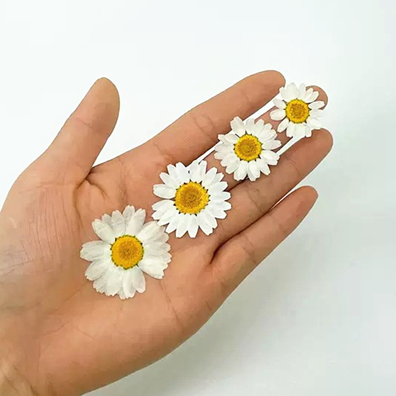 100Pcs Natural White Crystal C - огляд і ціна Embellishment Crafts